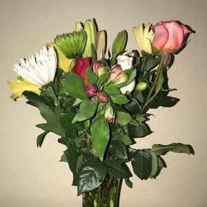 Meet your Posher, Jordan